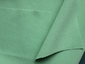 POLYESTER DOWN PROOF FABRIC